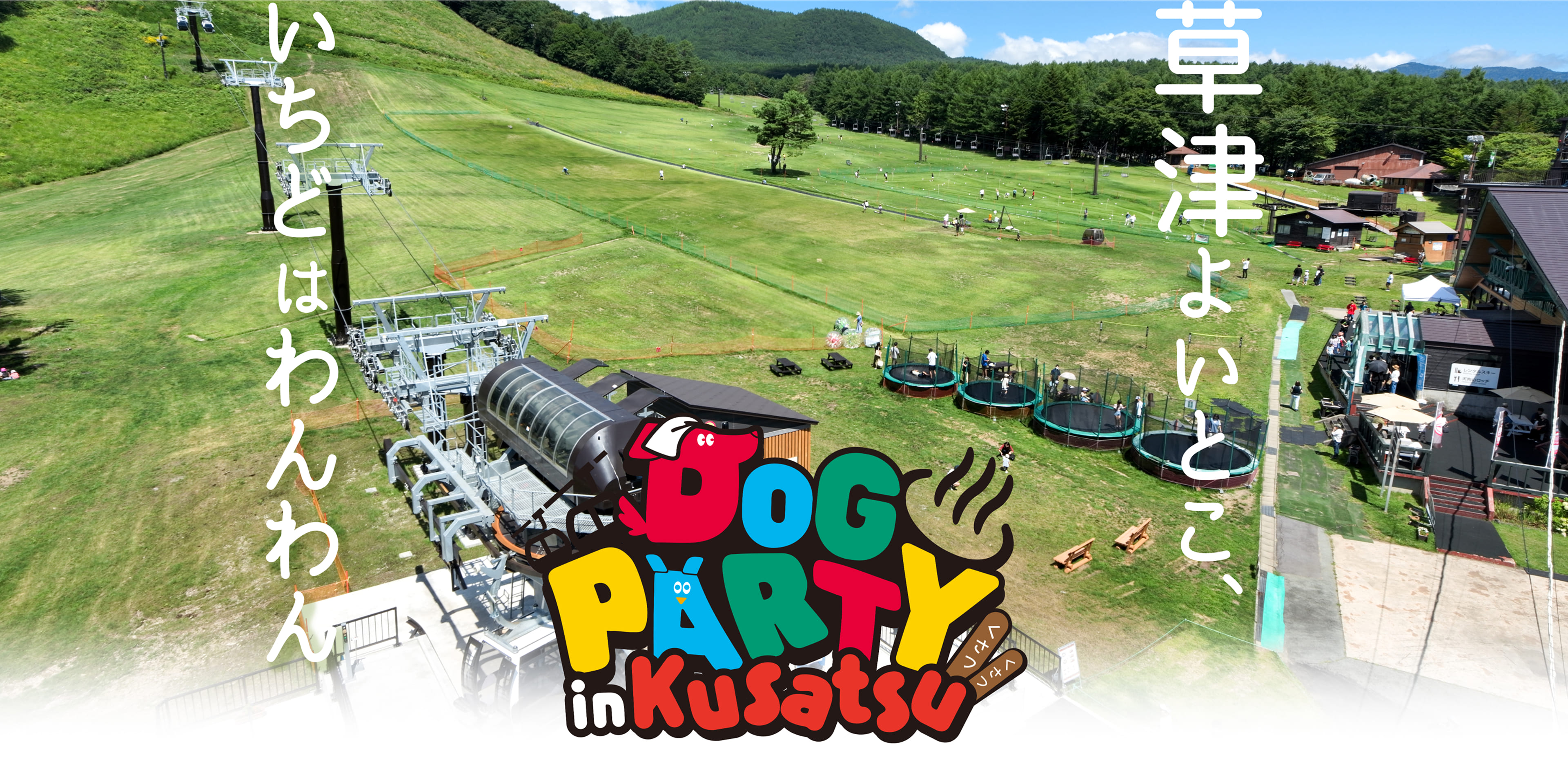 DOGPARTY Collection2025